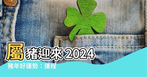 2024豬年運程1971|【2024年生肖運勢】豬：感情運大放異彩，但注意小。